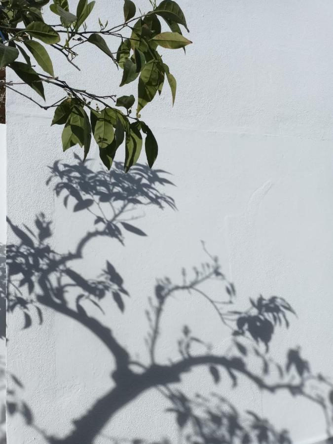 Apartament Casa Morais Pinto Reguengos de Monsaraz Zewnętrze zdjęcie